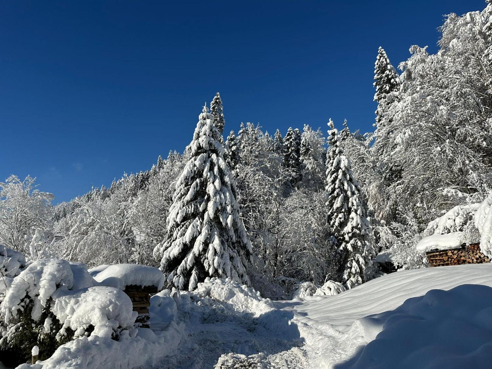 Landhaus Eibelesee Oberstaufen Exterior foto